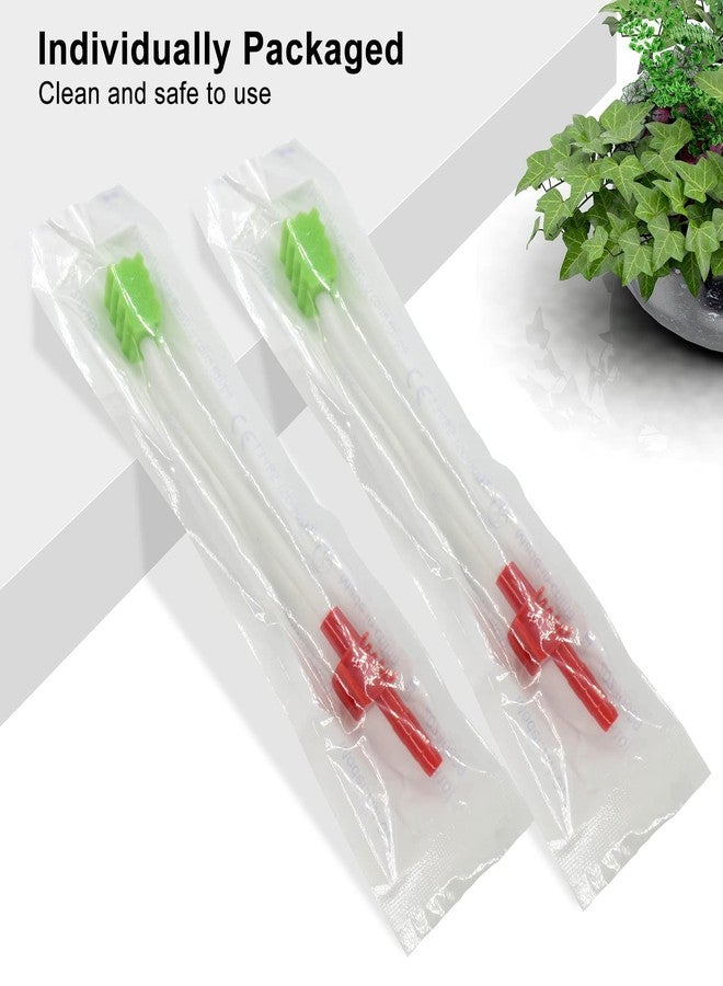 Wellgler's Oral Care Single Use Suction Swab (25pcs) - Image 5